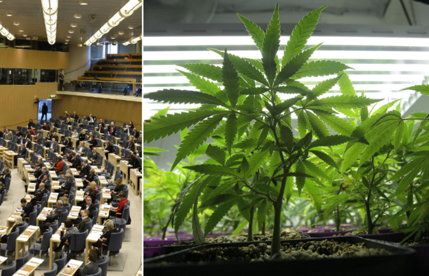 Fyra av de 116 riksdagsledamöter som svarade har testat cannabis.